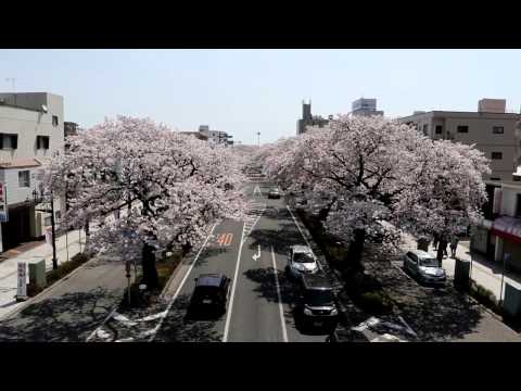 『茨城県日立市』の動画を楽しもう！