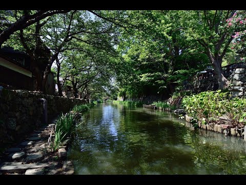 『滋賀県近江八幡市』の動画を楽しもう！
