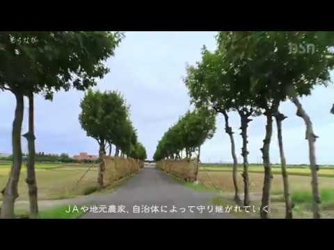 『新潟県新潟市秋葉区』の動画を楽しもう！