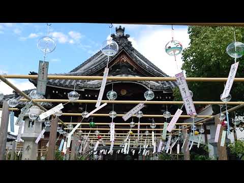 『奈良県橿原市』の動画を楽しもう！