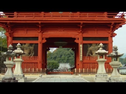 『和歌山県紀の川市』の動画を楽しもう！