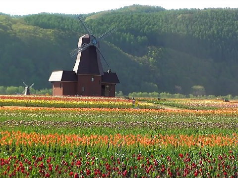 『北海道紋別郡湧別町』の動画を楽しもう！