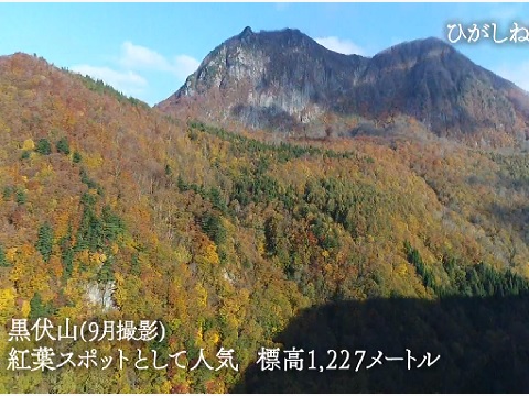 『山形県東根市』の動画を楽しもう！