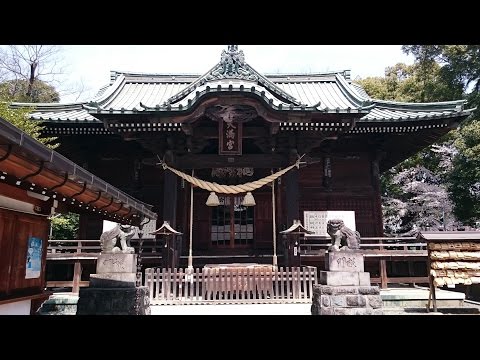『東京都杉並区』の動画を楽しもう！