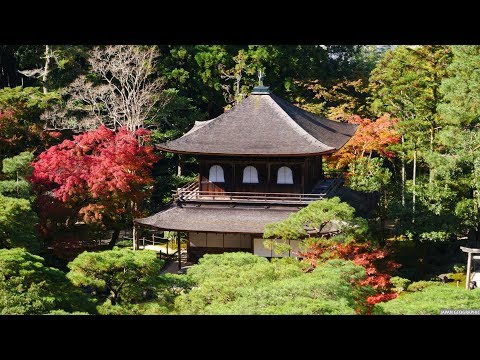 『京都府京都市左京区』の動画を楽しもう！