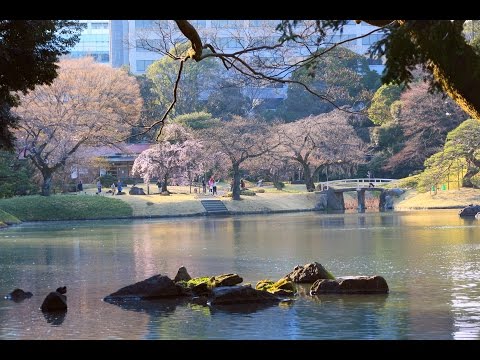 『東京都文京区』の動画を楽しもう！