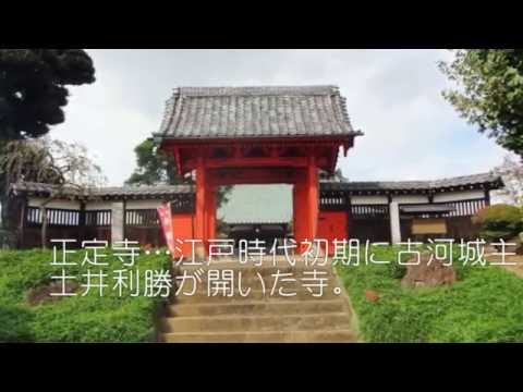 『茨城県古河市』の動画を楽しもう！