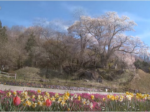 『福島県石川郡古殿町』の動画を楽しもう！
